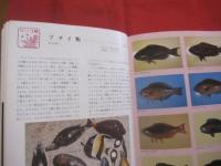 カラー百科シリーズ  　⑧   　 沖縄の自然　   〔 魚 〕 　　　       【琉球・自然・海洋生物】