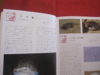 カラー百科シリーズ  　⑧   　 沖縄の自然　   〔 魚 〕 　　　       【琉球・自然・海洋生物】