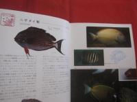 カラー百科シリーズ  　⑧   　 沖縄の自然　   〔 魚 〕 　　　       【琉球・自然・海洋生物】