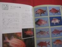 カラー百科シリーズ  　⑧   　 沖縄の自然　   〔 魚 〕 　　　       【琉球・自然・海洋生物】