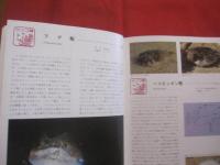 カラー百科シリーズ  　⑧   　 沖縄の自然　   〔 魚 〕 　　　       【琉球・自然・海洋生物】