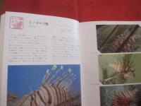 カラー百科シリーズ  　⑧   　 沖縄の自然　   〔 魚 〕 　　　       【琉球・自然・海洋生物】