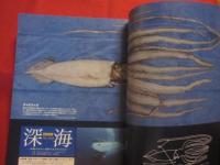 保存版  　深海探検    　　水深２００ｍから数千ｍの海に棲む、奇妙で神秘的な生き物たち！    　　  【自然・動物・海洋生物・魚類】