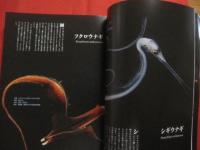 保存版  　深海探検    　　水深２００ｍから数千ｍの海に棲む、奇妙で神秘的な生き物たち！    　　  【自然・動物・海洋生物・魚類】