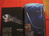 保存版  　深海探検    　　水深２００ｍから数千ｍの海に棲む、奇妙で神秘的な生き物たち！    　　  【自然・動物・海洋生物・魚類】
