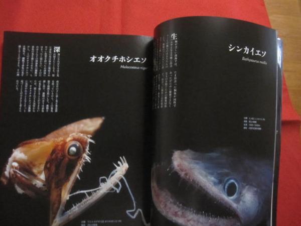 保存版 深海探検 水深200mから数千mの海に棲む、奇妙で神秘