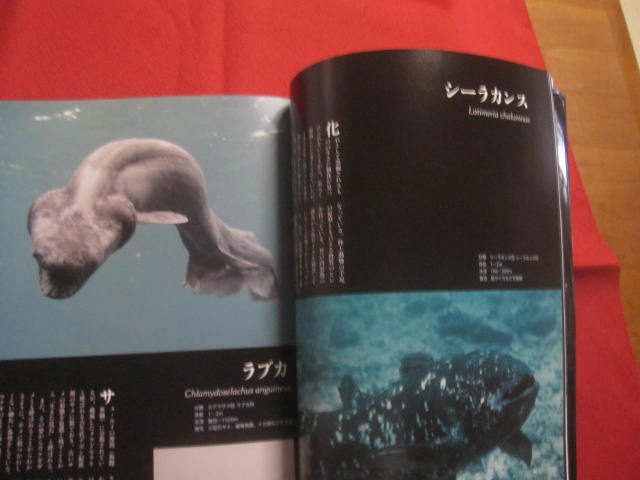 保存版 深海探検 水深200mから数千mの海に棲む、奇妙で神秘