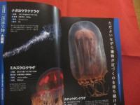 こんな生き物見たことない！ 　　 「深海生物」大図鑑   　　 未知の世界へようこそ  　　　　    【自然・動物・海洋生物・魚類】