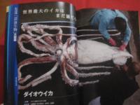 こんな生き物見たことない！ 　　 「深海生物」大図鑑   　　 未知の世界へようこそ  　　　　    【自然・動物・海洋生物・魚類】