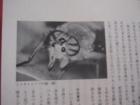 熱帯の風と人と　　    医動物のフィールドから 　　   鈴木  博  　著     　　   【奄美・トカラ・生物・昆虫・ネイチャー・エッセイ】