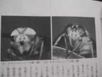 熱帯の風と人と　　    医動物のフィールドから 　　   鈴木  博  　著     　　   【奄美・トカラ・生物・昆虫・ネイチャー・エッセイ】