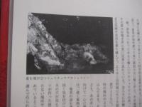 熱帯の風と人と　　    医動物のフィールドから 　　   鈴木  博  　著     　　   【奄美・トカラ・生物・昆虫・ネイチャー・エッセイ】
