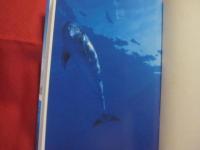 もういちど宙へ   　　 沖縄美ら海水族館 人工尾びれをつけたイルカ フジの物語  　　    　  【沖縄・琉球・生物・動物】