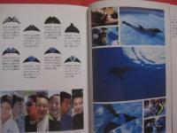 もういちど宙へ   　　 沖縄美ら海水族館 人工尾びれをつけたイルカ フジの物語  　　    　  【沖縄・琉球・生物・動物】
