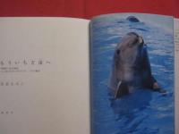 もういちど宙へ   　　 沖縄美ら海水族館 人工尾びれをつけたイルカ フジの物語  　　    　  【沖縄・琉球・生物・動物】
