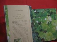 七栄グリーンの  コンテナ  スタイル   　　 生け花のような寄せ植えがかんたんにできる！！    　　   【沖縄・琉球・ガーデニング】