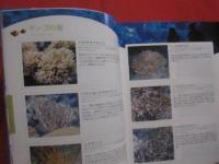 改訂版  　沖縄美ら海水族館ガイドブック 　 「見たい」　 「聞きたい」　 「触れたい」。　 美ら海の世界 　　　　   【沖縄・琉球・自然・文化】