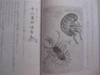 子供から大人まで楽しく読める   　　 沖縄のむかしばなし   　　 文と絵  　宮沢　  貞子　　　　       【沖縄・琉球・歴史・文化】