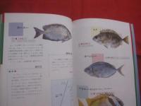 ＦＩＳＨＥＲ’Ｓ　　　ＰＡＲＡＤＩＳＥ　　　ＯＫＩＮＡＷＡ　　　　　フィッシャーズ 　 パラダイス  　オキナワ 　　  　　魚と釣りの百科 　　　　 　     【沖縄・琉球・趣味・文化・アウトドア・海洋レジャー】