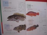 ＦＩＳＨＥＲ’Ｓ　　　ＰＡＲＡＤＩＳＥ　　　ＯＫＩＮＡＷＡ　　　　　フィッシャーズ 　 パラダイス  　オキナワ 　　  　　魚と釣りの百科 　　　　 　     【沖縄・琉球・趣味・文化・アウトドア・海洋レジャー】
