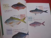 ＦＩＳＨＥＲ’Ｓ　　　ＰＡＲＡＤＩＳＥ　　　ＯＫＩＮＡＷＡ　　　　　フィッシャーズ 　 パラダイス  　オキナワ 　　  　　魚と釣りの百科 　　　　 　     【沖縄・琉球・趣味・文化・アウトドア・海洋レジャー】