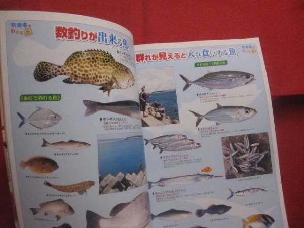 沖縄防波堤釣り入門