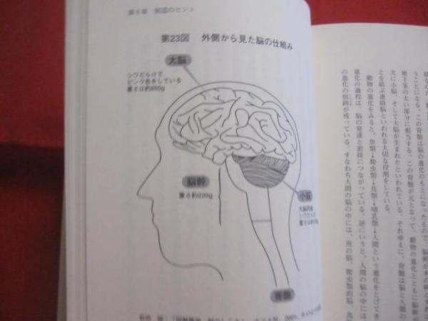 創造の原理 The Principles of Creation