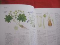 ハーブ＆スパイス　　  Ｔｈｅ  　Ｈｅｒｂ 　 ＆ 　 Ｓｐｉｃｅ  　Ｂｏｏｋ   　　サラー・ガーランド  　著   　　 定価  　２６，０００円  　　   　　   【植物・薬味・料理】　　