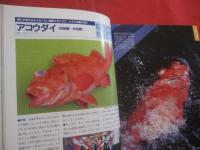 水中写真で魚の動きがわかる！  　　海釣り 　決定版　　    海釣り魚約３５０種の形態・生態・タックル・釣り方・仕掛け・食べ方を徹底網羅    　　　　    【自然・趣味・アウトドア・海洋レジャー】