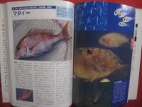 水中写真で魚の動きがわかる！  　　海釣り 　決定版　　    海釣り魚約３５０種の形態・生態・タックル・釣り方・仕掛け・食べ方を徹底網羅    　　　　    【自然・趣味・アウトドア・海洋レジャー】