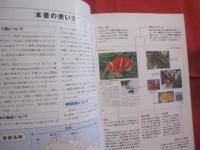 クマノミ 　ガイドブック   　　ダイバー＆ナチュラリスト必携。  　　 モイヤー先生のクマノミ観察図鑑。 　　　　   【自然・魚類・海洋生物】