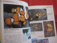 クマノミ 　ガイドブック   　　ダイバー＆ナチュラリスト必携。  　　 モイヤー先生のクマノミ観察図鑑。 　　　　   【自然・魚類・海洋生物】