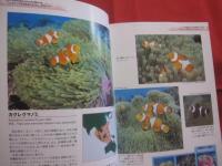 クマノミ 　ガイドブック   　　ダイバー＆ナチュラリスト必携。  　　 モイヤー先生のクマノミ観察図鑑。 　　　　   【自然・魚類・海洋生物】