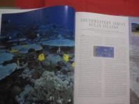 ＴＯＰ 　 ＤＩＶＥ 　 ＳＩＴＥＳ　  ｏｆ　  ｔｈｅ　  Ｉｎｄｉａｎ　  Ｏｃｅａｎ　　    洋書  　　   【ダイビング・自然・海洋生物・写真集】