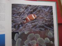 ＴＯＰ 　 ＤＩＶＥ 　 ＳＩＴＥＳ　  ｏｆ　  ｔｈｅ　  Ｉｎｄｉａｎ　  Ｏｃｅａｎ　　    洋書  　　   【ダイビング・自然・海洋生物・写真集】