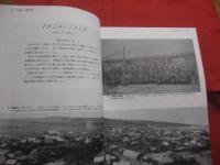 糸満市史  　別巻 　 写真資料  　　写真と年表に見る  　糸満市の現代の歩み 　　 １９４５年 ～ １９９１年　　　　     【沖縄・琉球・歴史・文化】