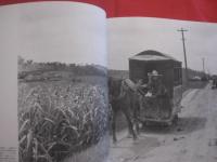 写真集 　 沖縄 　 １９３５  　　  朝日新聞出版　 発行   　　　　  【沖縄・琉球・歴史・文化・アート写真・自然・風景・人物】
