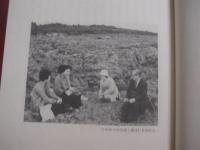 追悼  ・  仲宗根政善      　　沖縄言語研究センター　  発行    　　           【沖縄・琉球・歴史・文化・言語・沖縄今帰仁方言辞典・人物評伝】