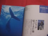 沖縄島々風便り  　本島と周辺の島編　        【沖縄・琉球・歴史・文化・風土・離島】