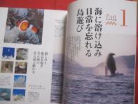 ☆アイランドガイド沖縄　   沖縄の有人離島　    沖縄の離島４８完全ガイド 　　         【沖縄・琉球・歴史・文化・自然】