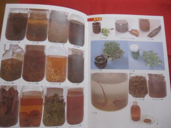 おきなわの薬草百科 誰にでもできる薬草の利用法 おきなわの薬草百科 沖縄の薬草百科