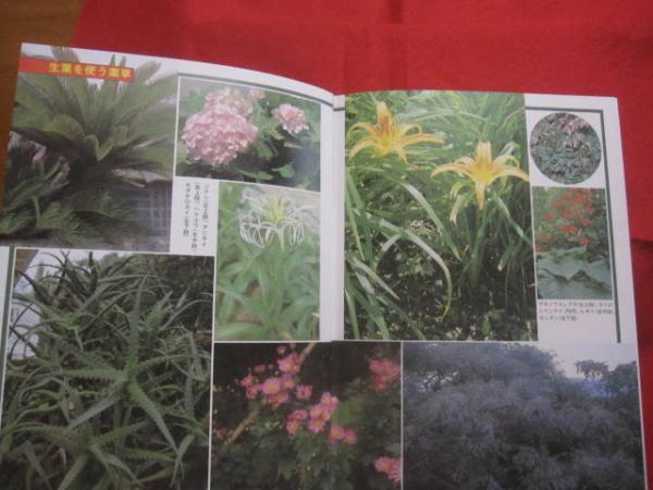 誰にでもできる薬草の利用法 おきなわの薬草百科 沖縄の薬草百科