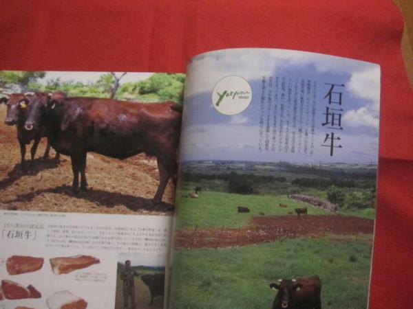 アイランドガイド沖縄 ◇八重山諸島へオーリトーリ 石垣島