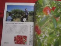 ☆[　沖縄の遊　・　食　・　住　] 　　  沖縄暮らし   　　冬こそ農的沖縄生活　　　　    【沖縄・琉球・文化・自然】