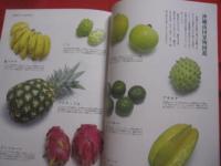 ☆[　沖縄の遊　・　食　・　住　] 　　  沖縄暮らし   　　冬こそ農的沖縄生活　　　　    【沖縄・琉球・文化・自然】