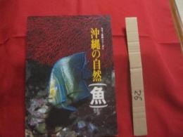 カラー百科シリーズ　  ⑧　  沖縄の自然 　 〔　 魚　 〕     　        【琉球・自然・魚類・海洋生物】