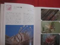 カラー百科シリーズ　  ⑧　  沖縄の自然 　 〔　 魚　 〕     　        【琉球・自然・魚類・海洋生物】