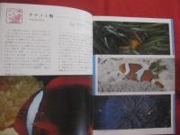 カラー百科シリーズ　  ⑧　  沖縄の自然 　 〔　 魚　 〕     　        【琉球・自然・魚類・海洋生物】