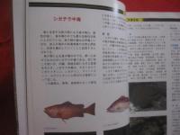 ダイビングポイントマップ  　沖縄   　 ―　 危険生物編　 ―              【沖縄・琉球・自然・海洋・アウトドア・マリンスポーツ】