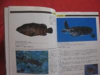 ダイビングポイントマップ  　沖縄   　 ―　 危険生物編　 ―              【沖縄・琉球・自然・海洋・アウトドア・マリンスポーツ】